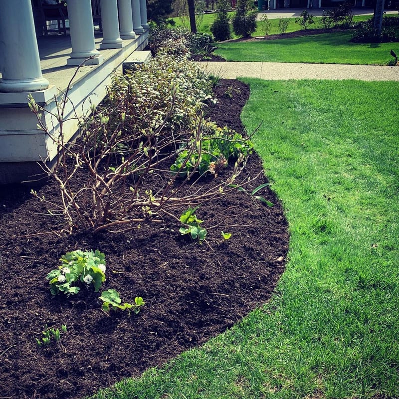 Landscaping Services Residential and Commercial